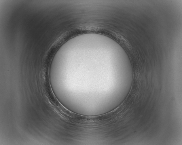 X0000084040735200702160853