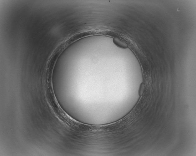 X0000084040736200702160853