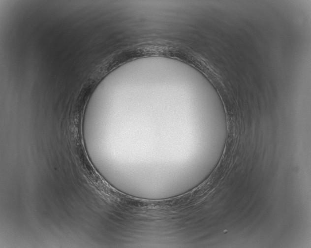 X0000084040737200702160853