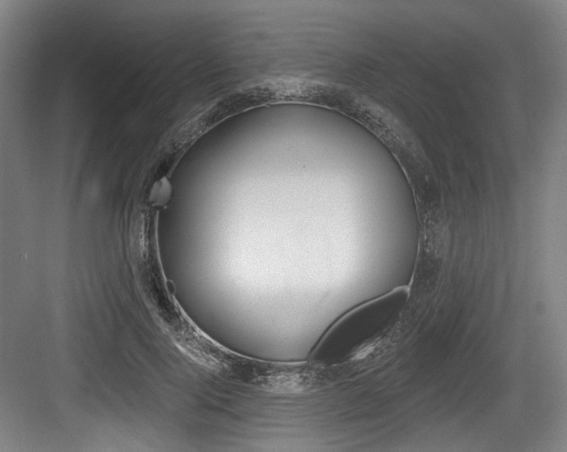 X0000084040740200702160853