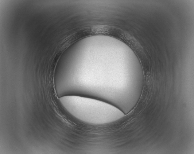 X0000084040741200702160853