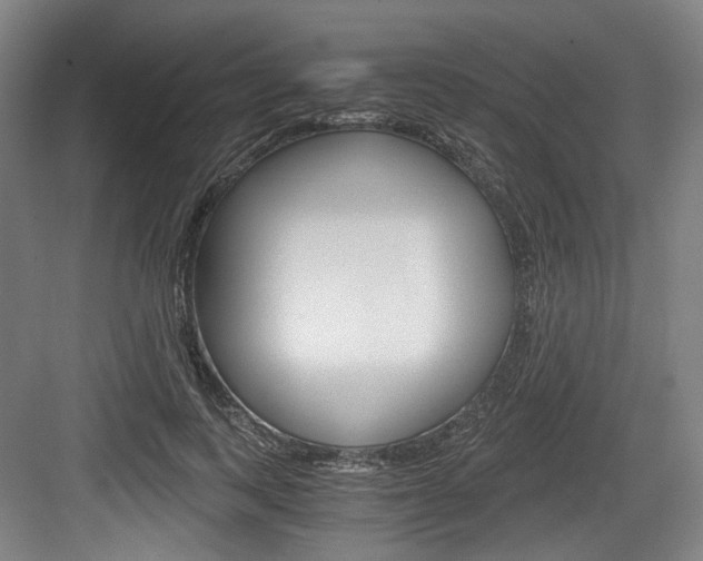 X0000084040743200702160853