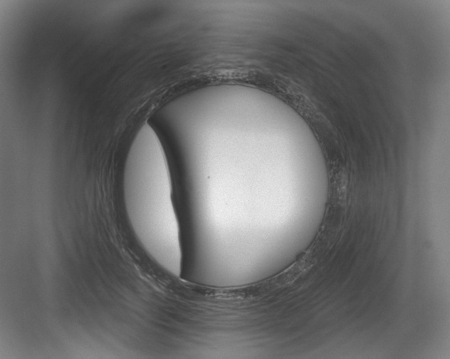 X0000084040746200702160853