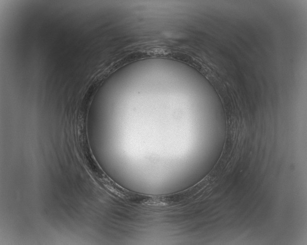 X0000084040747200702160853