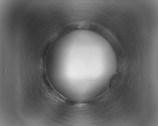 X0000084040748200702160853