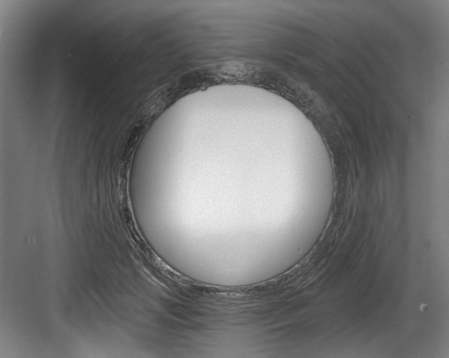 X0000084040749200702160853