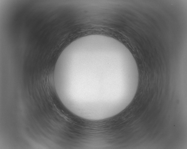 X0000084040750200702160853
