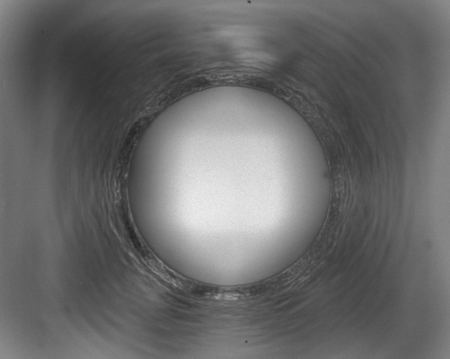 X0000084040751200702160853