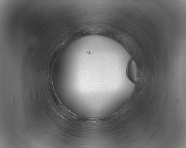 X0000084040752200702160853
