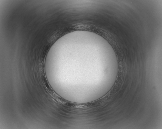 X0000084040753200702160853