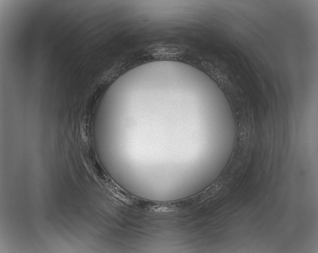 X0000084040755200702160853