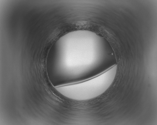 X0000084040756200702160853