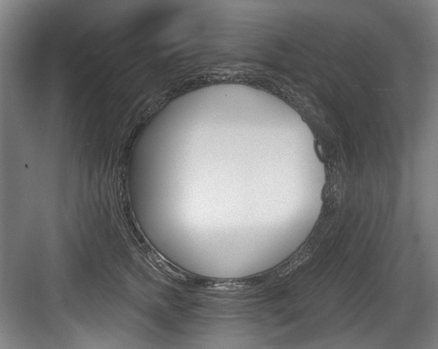 X0000084040758200702160853