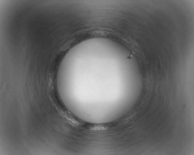X0000084040759200702160853