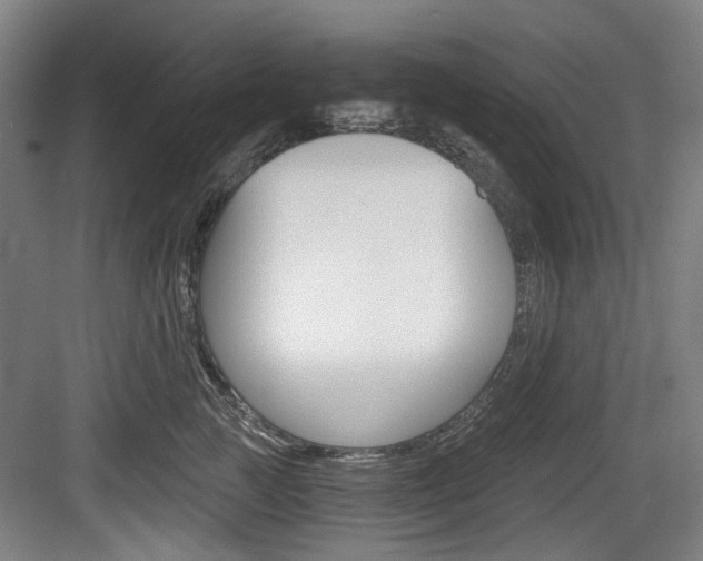 X0000084040761200702160853