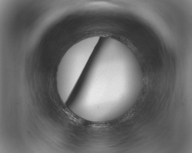 X0000084040763200702160853