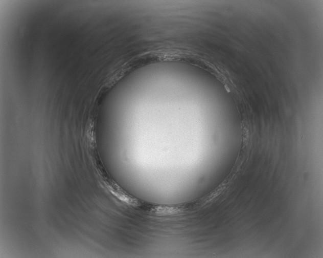 X0000084040766200702160853