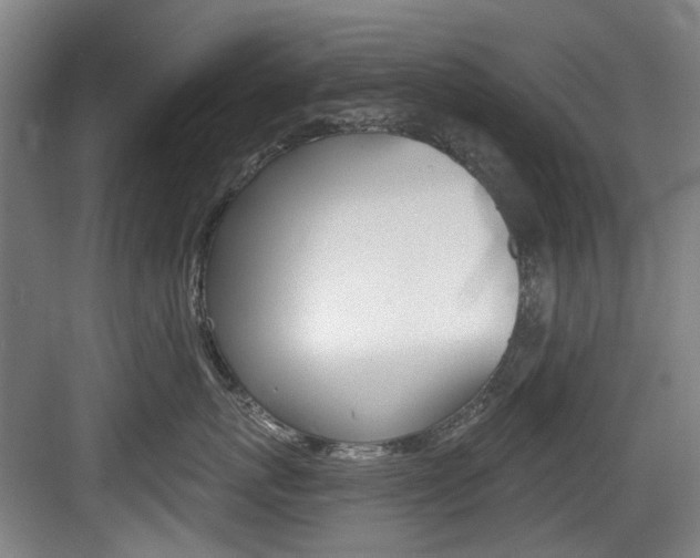 X0000084040767200702160853