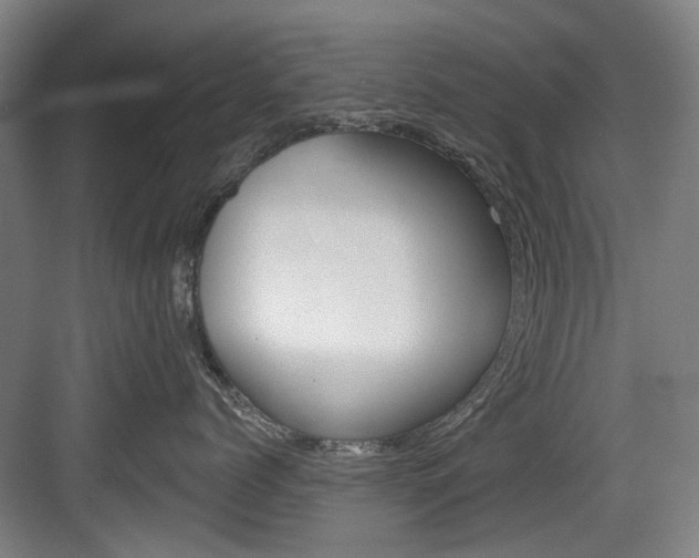 X0000084040768200702160853