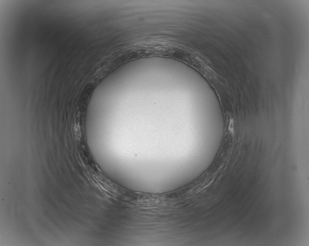 X0000084040771200702160852