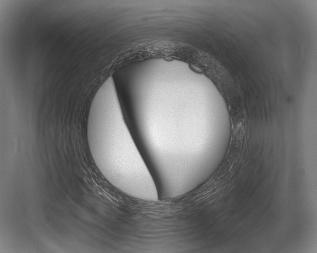 X0000084040772200702160852