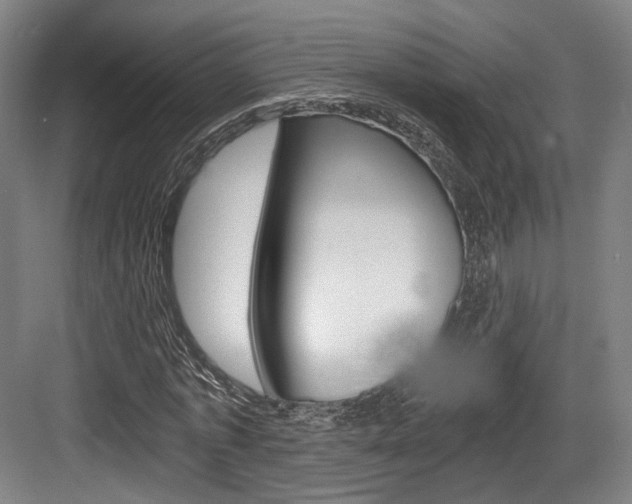 X0000084040773200702160852