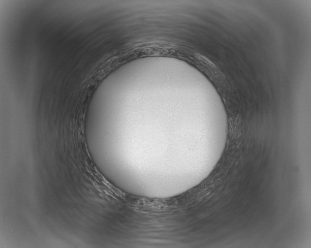 X0000084040774200702160852