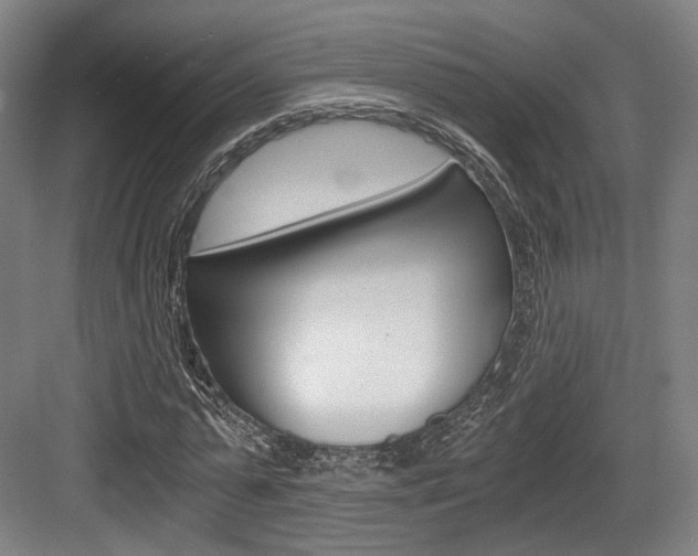 X0000084040775200702160852