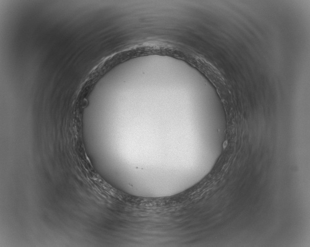 X0000084040776200702160852