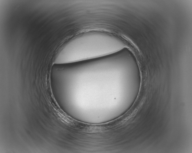 X0000084040777200702160852