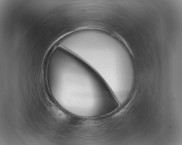 X0000084040779200702160852