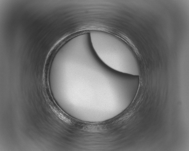 X0000084040780200702160852