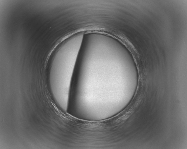 X0000084040781200702160852