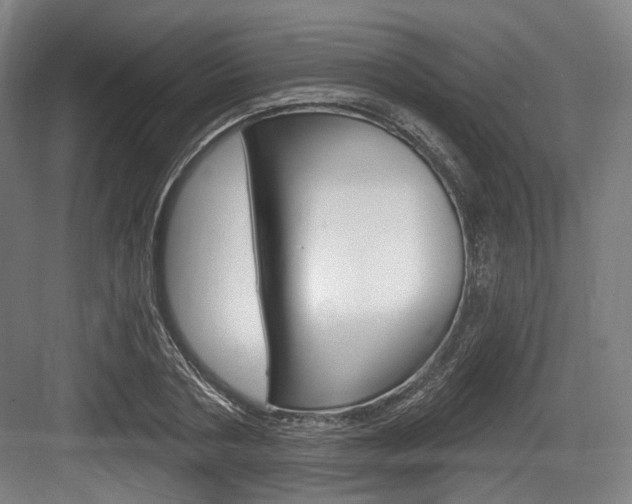X0000084040786200702160852