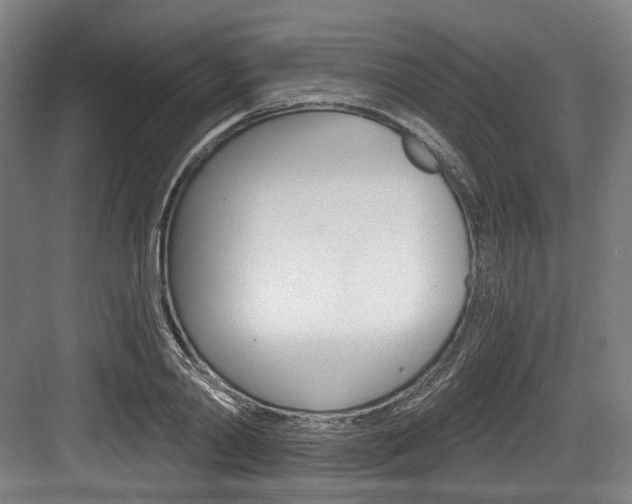 X0000084040790200702160852
