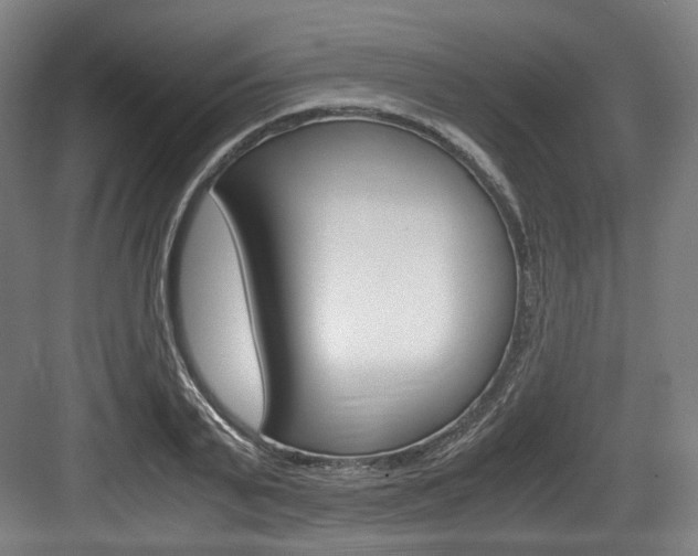 X0000084040791200702160852