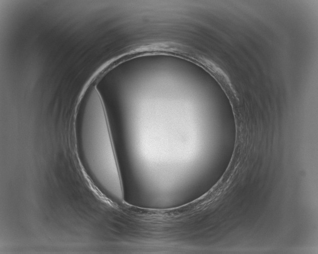 X0000084040792200702160852