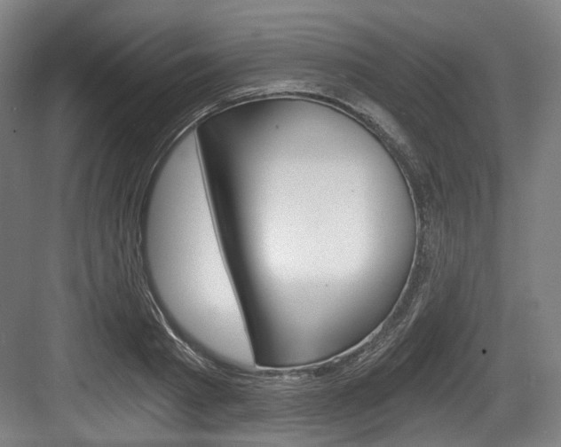 X0000084040793200702160852