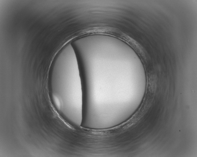 X0000084040794200702160852