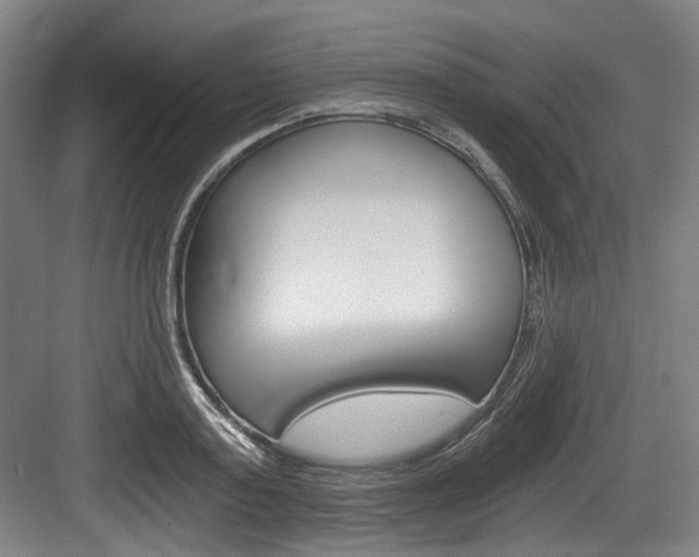 X0000084040795200702160852