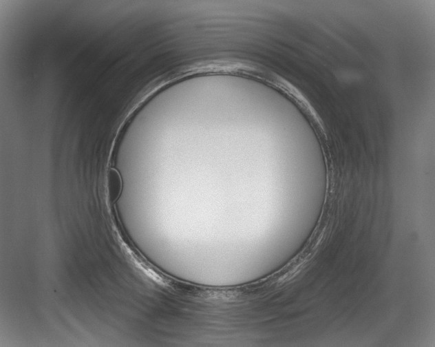 X0000084040802200702160852