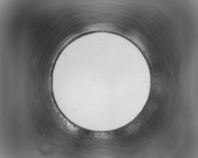 X0000084040807200702160852