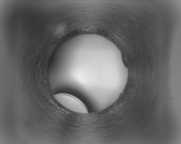X0000084040817200702160851