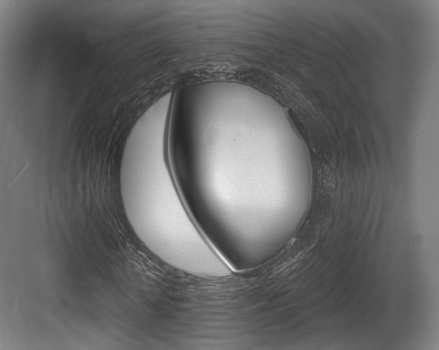 X0000084040818200702160851