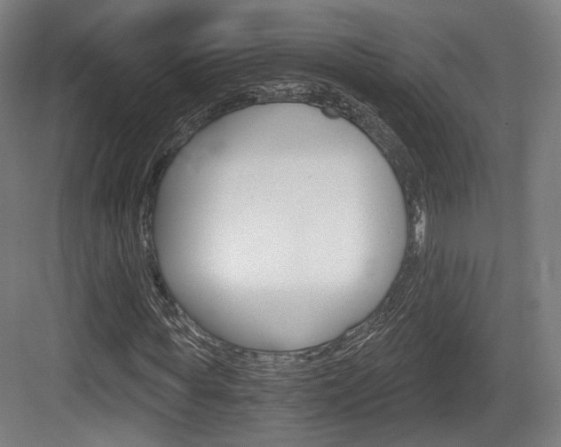X0000084040819200702160851