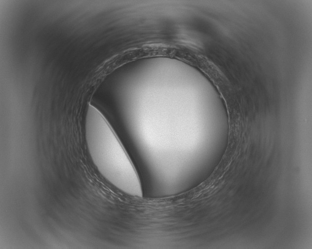 X0000084040821200702160851