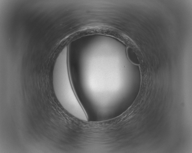 X0000084040822200702160851