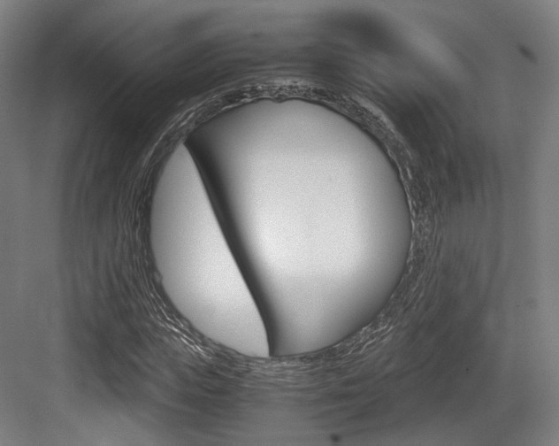 X0000084040823200702160851