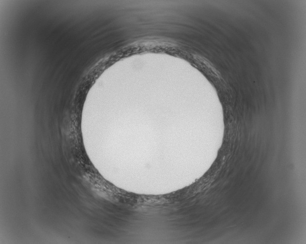 X0000084040824200702160851