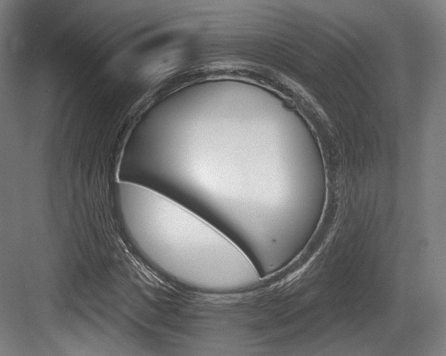 X0000084040825200702160851